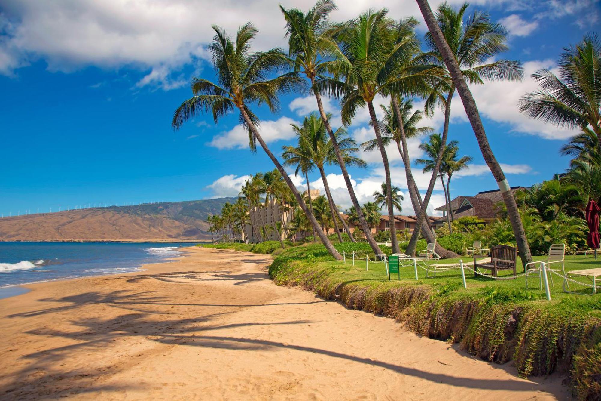 Nani Kai Hale Apartment Kihei Bilik gambar